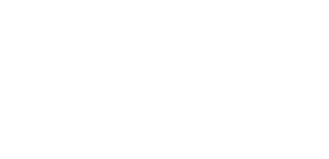 Raio Logo White